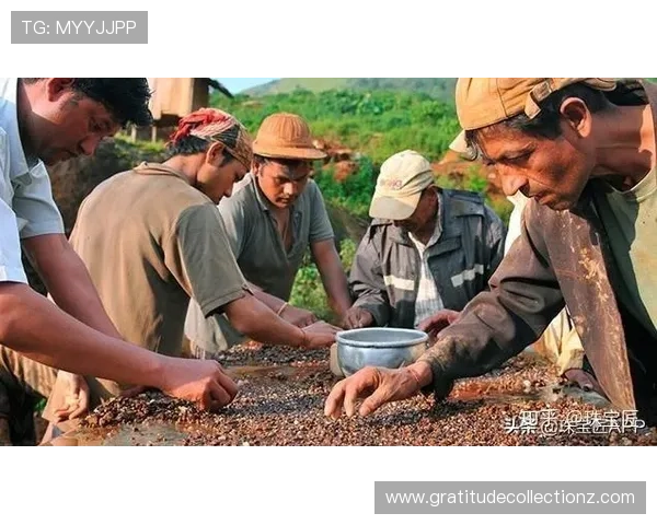 深入揭秘K8捕鱼技巧新手必学的五大实用方法让你快速提升捕鱼成功率掌握技巧赢取更多奖励